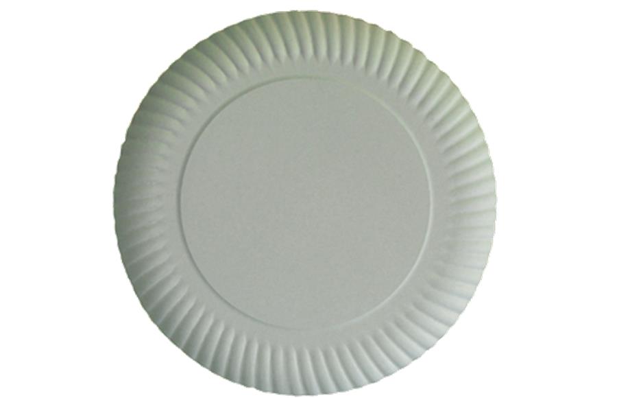 foto PLATOS DE CARTÓN 