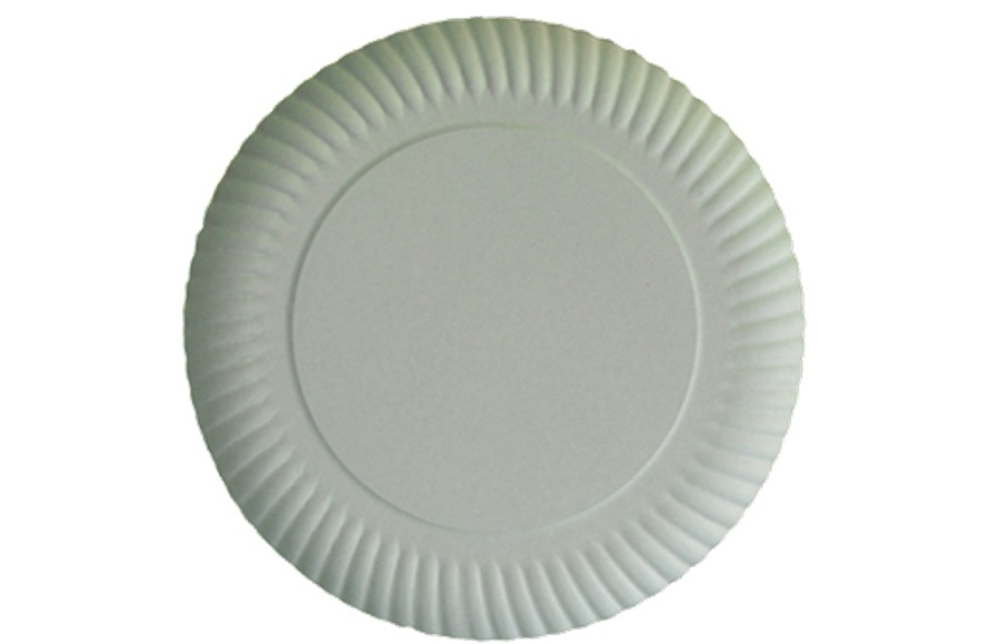 foto PLATOS DE CARTÓN 